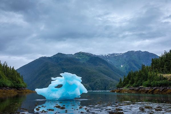 Alaska-Petersburg-Large iceberg from LeConte Glacier grounded at low tide in LeConte Bay
